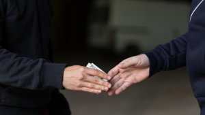 methaqualone drug trafficking