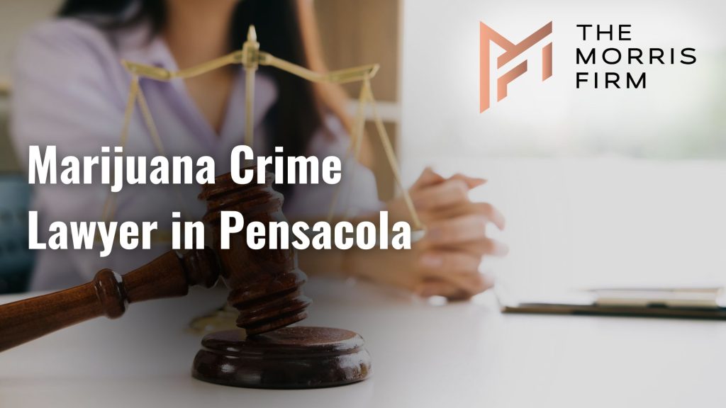 Marijuana Crime Lawyer in Pensacola Image